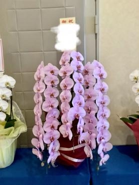 祝賀会のお花｜「花善」　（北海道登別市の花キューピット加盟店 花屋）のブログ